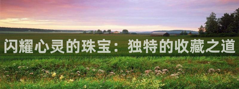 中国新航娱乐在哪个平台