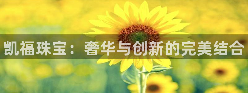 新航娱乐有限公司地址