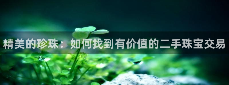新航娱乐代理