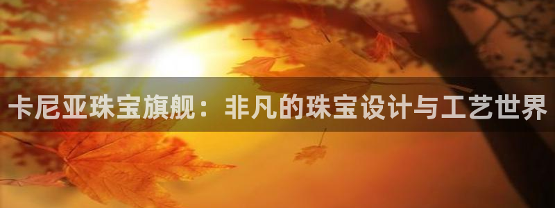 新航娱乐安卓版下载
