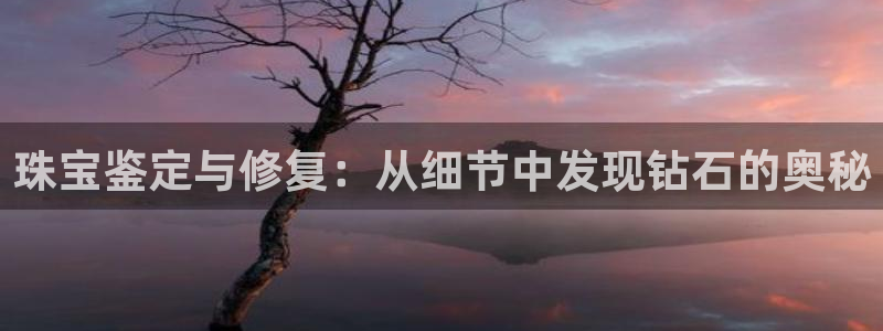 新航娱乐管理有限公司