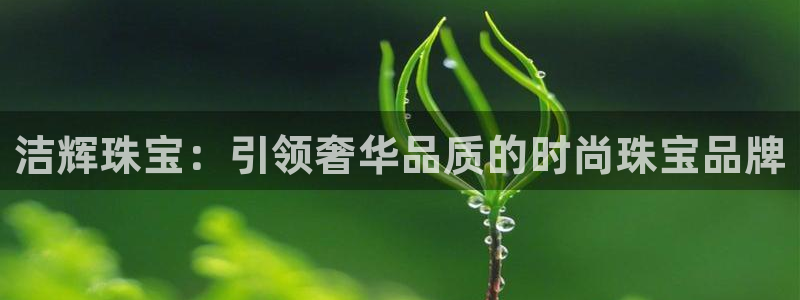 新航娱乐