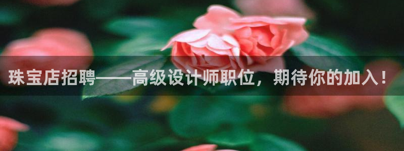 新航娱乐街7O935