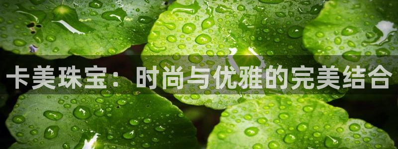 新航机上娱乐