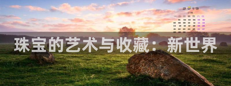 新航 娱乐系统