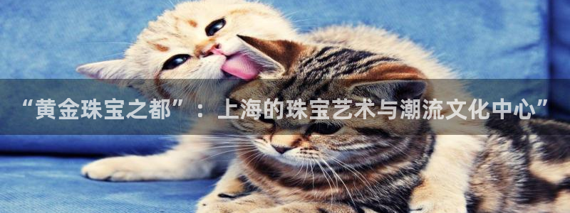 新航线娱乐
