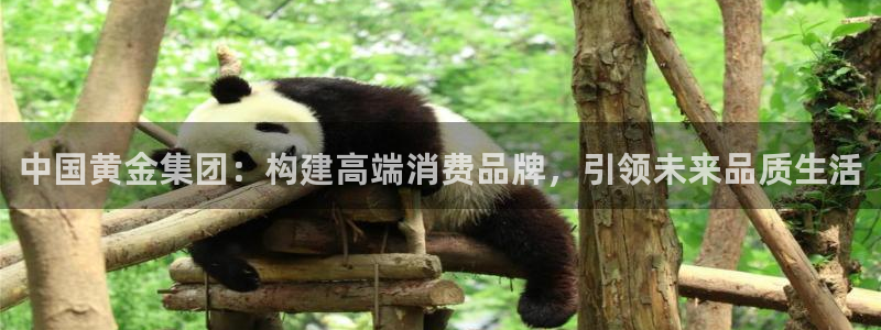 新航娱乐艺人：中国黄金集团：构建高端消费品牌，引领未来品质生
