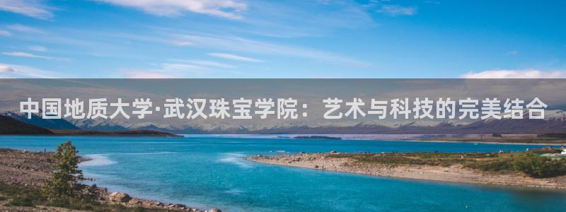 新航娱乐有限公司地址