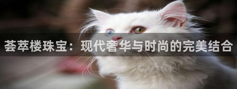 新航娱乐值得买吗：荟萃楼珠宝：现代奢华与时尚的完美结合