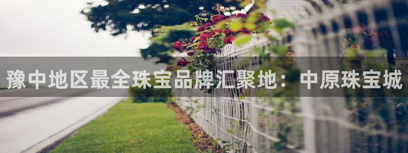 新航sq806娱乐系统：豫中地区最全珠宝品牌汇聚地：中原珠宝