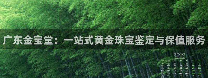 兰山新航线娱乐会所：广东金宝堂：一站式黄金珠宝鉴定与保值服务