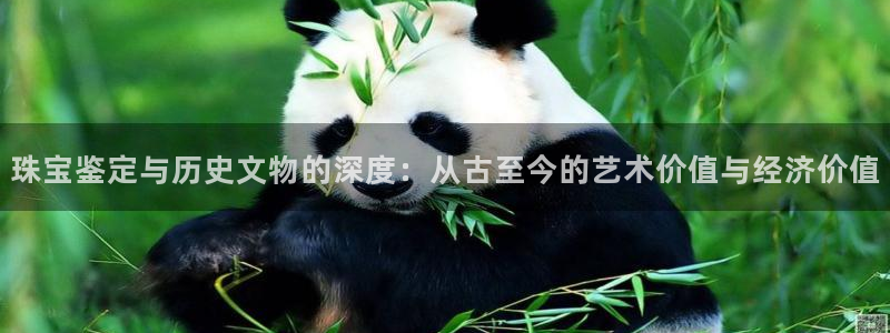 新航头等舱套房娱乐屏：珠宝鉴定与历史文物的深度：从古至今的艺