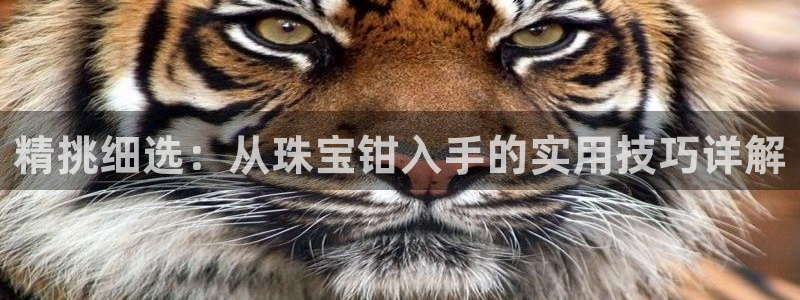 新航娱乐最高返点多少