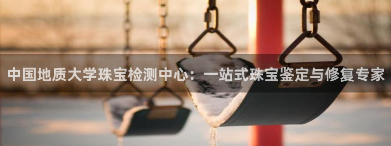 新航娱乐公司问题：中国地质大学珠宝检测中心：一站式珠宝鉴定与