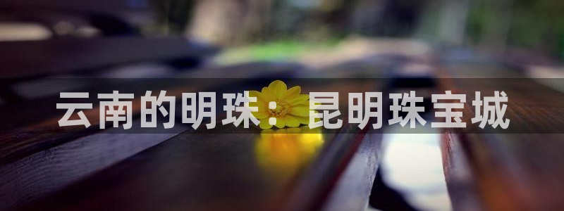 新航娱乐公司地址