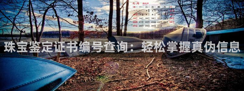 新航娱乐公司旗下艺人：珠宝鉴定证书编号查询：轻松掌握真伪信息