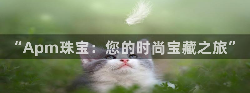 新航娱乐客服电话