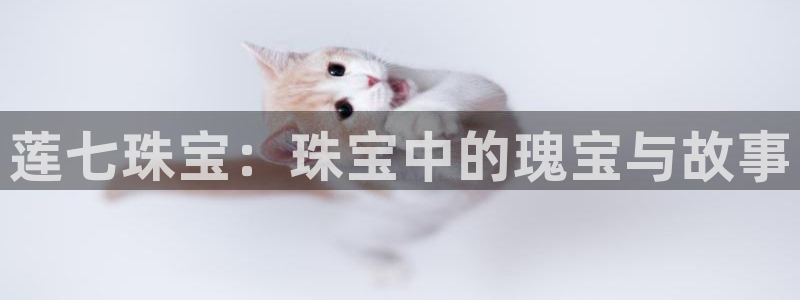中国新航娱乐官网入口