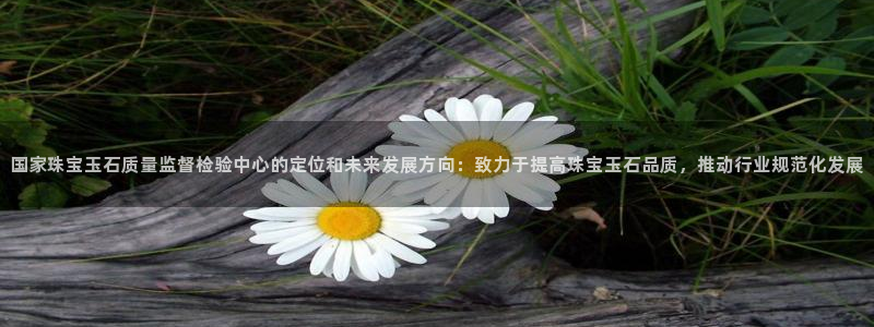 打造娱乐新航母