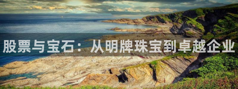 新航娱乐管理有限公司