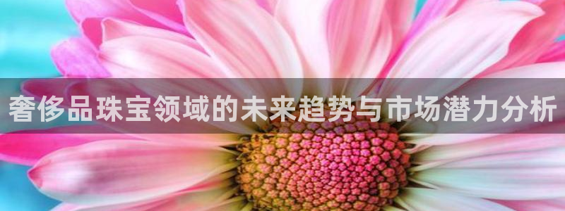新航娱乐最新娱乐项目介绍