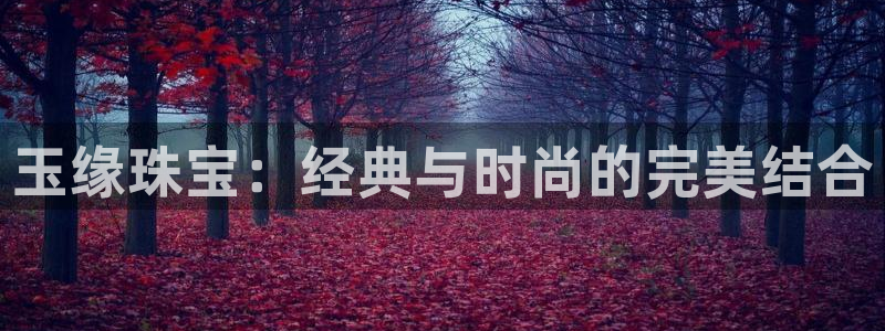 新航娱乐有限公司地址