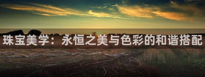 新航娱乐招商Q