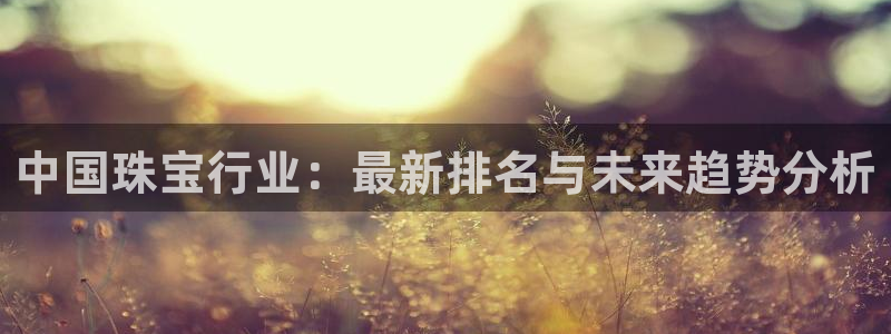 新航文化娱乐传媒：中国珠宝行业：最新排名与未来趋势分析