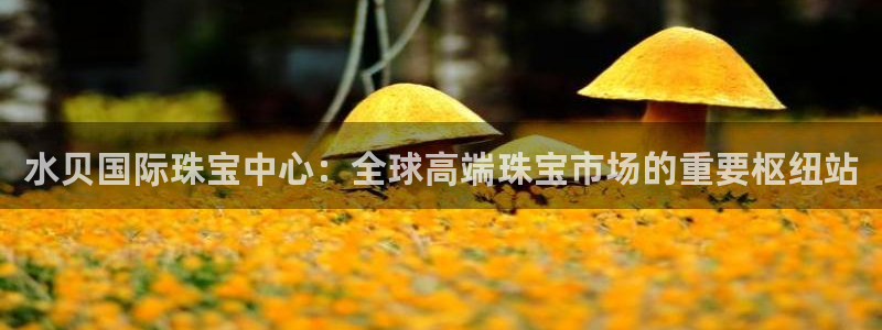 中国新航娱乐官网入口：水贝国际珠宝中心：全球高端珠宝市场的重