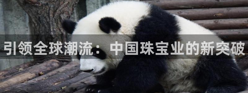 新航娱乐观：引领全球潮流：中国珠宝业的新突破