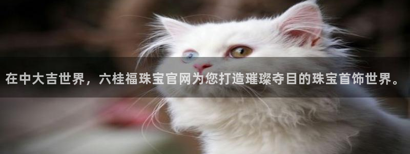新航海娱乐会所地址电话：在中大吉世界，六桂福珠宝官网为您打造