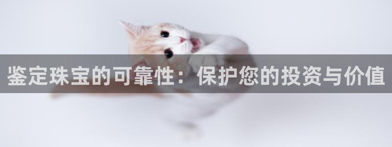 新航娱乐的最新动态报道