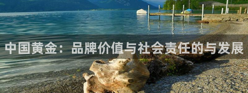 新航娱乐有限公司地址