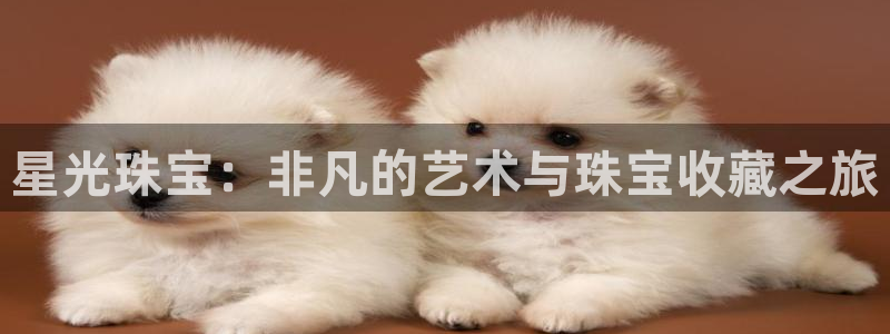 新航娱乐的最新动态报道