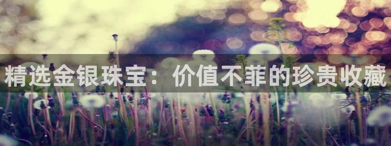 新航娱乐网址