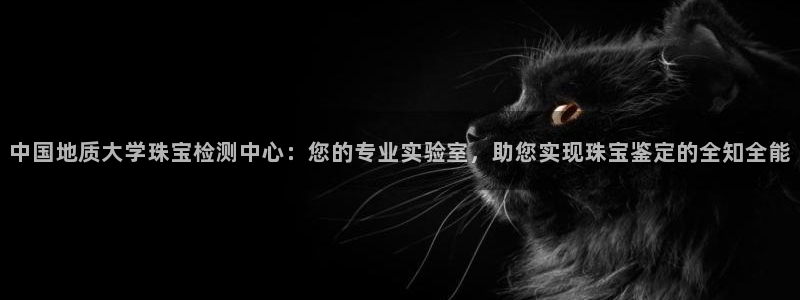 娱乐界的新航母