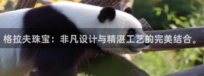 新航海大酒店娱乐城