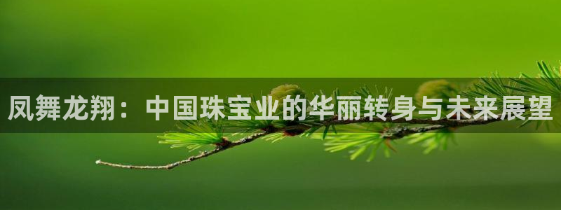 新航娱乐公司问题解决