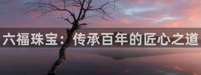 新航娱乐公司简介