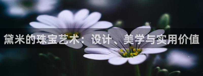 新航娱乐传媒招聘