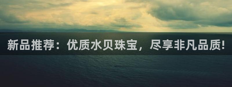 新航娱乐