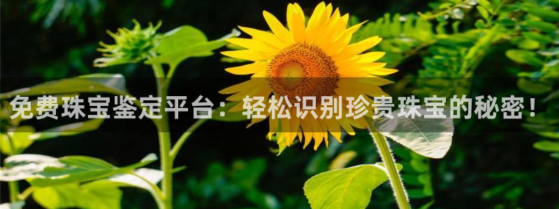 新航娱乐最新开户信息