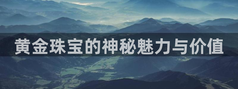 新航娱乐公司问题分析