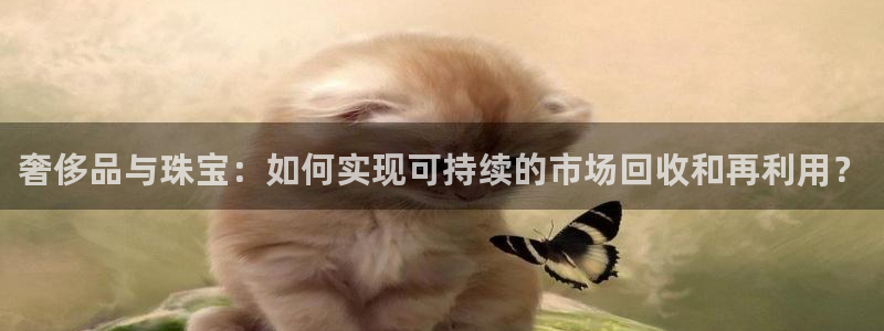 新航娱乐黑