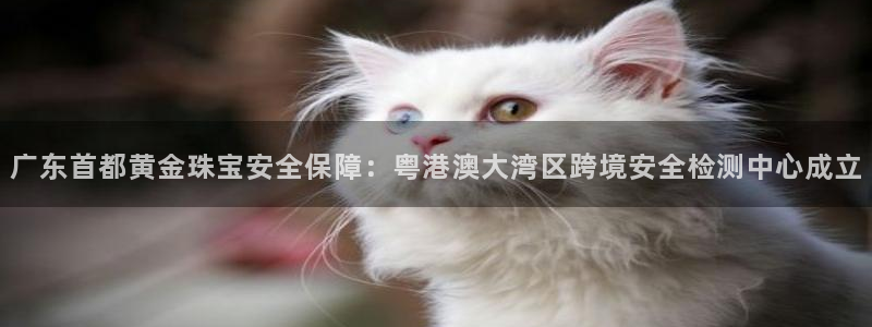 新航娱乐集团最新消息