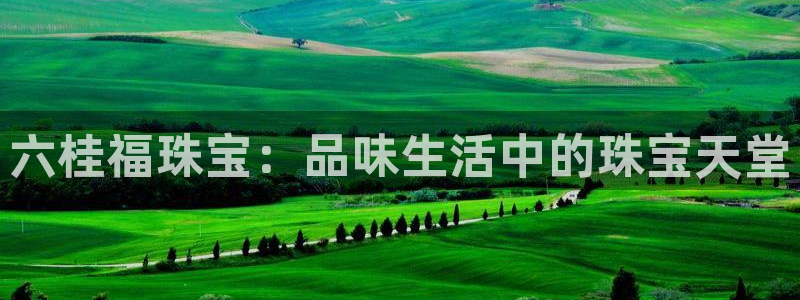新航娱乐有限公司
