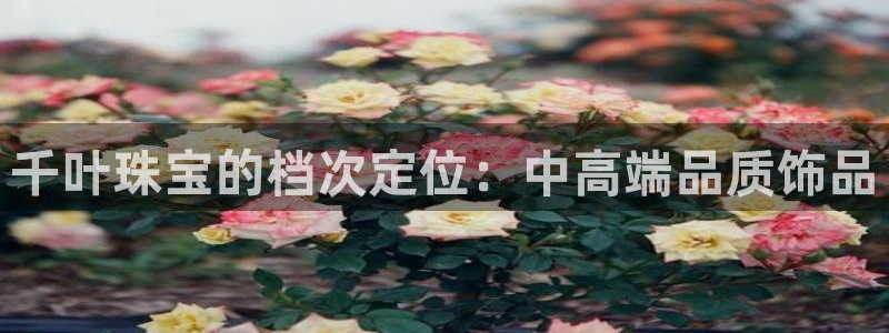 新航娱乐旗下平台有哪些