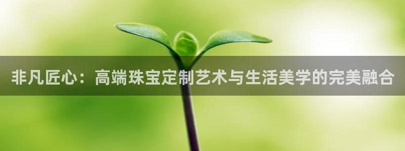 新航娱乐开户