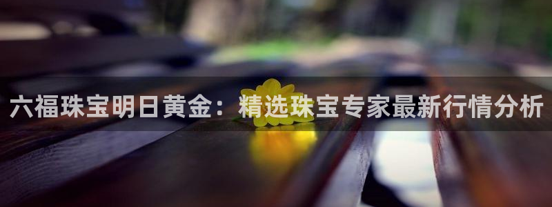 武汉中创新航娱乐室：六福珠宝明日黄金：精选珠宝专家最新行情分