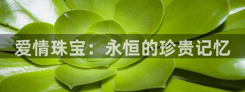 新航娱乐公司怎么样